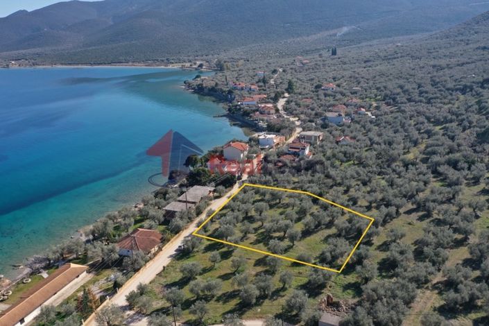 Image No.1-Property for sale