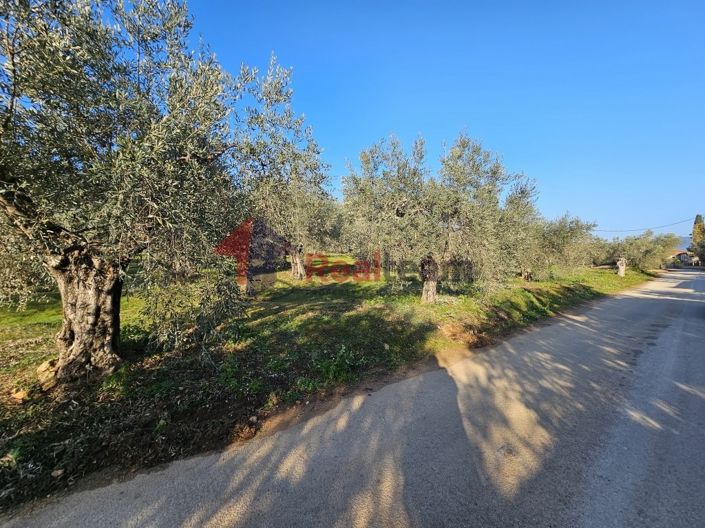 Image No.11-Property for sale