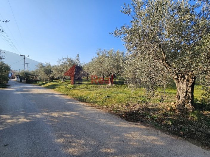 Image No.14-Property for sale