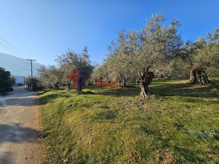 Image No.18-Property for sale