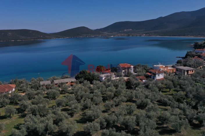 Image No.5-Property for sale