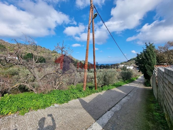 Image No.1-Property for sale