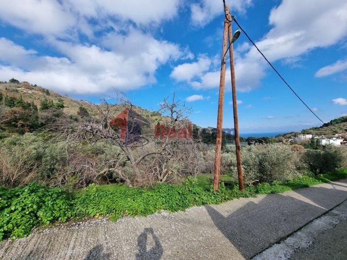 Image No.10-Property for sale