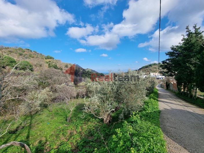 Image No.2-Property for sale