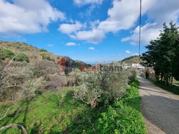 imge994cfcc-28bc-4aa2-b5be-c671ff478b66