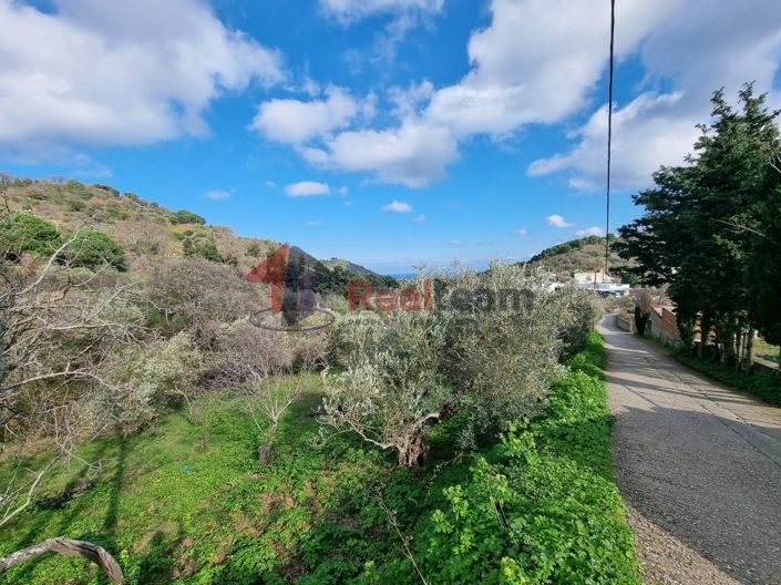 Image No.3-Property for sale