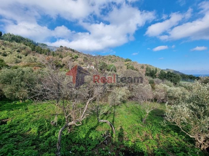 Image No.4-Property for sale