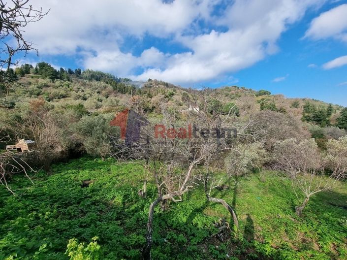 Image No.5-Property for sale