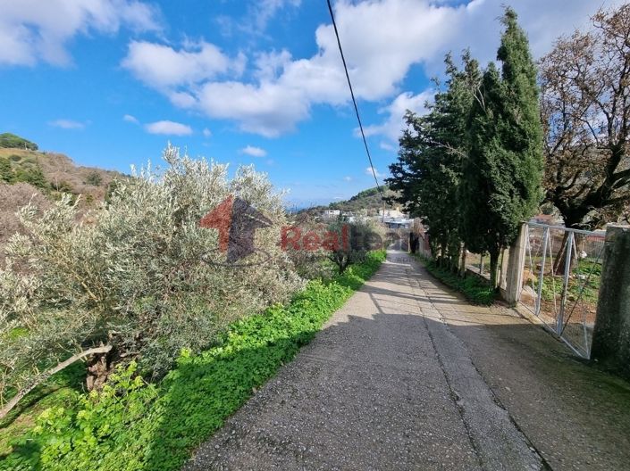 Image No.6-Property for sale