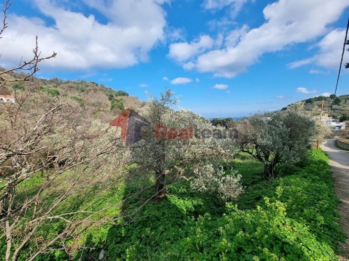 Image No.9-Property for sale