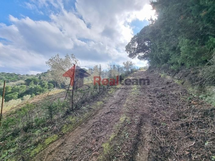 Image No.10-Property for sale