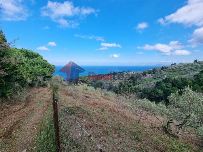 Image No.11-Property for sale