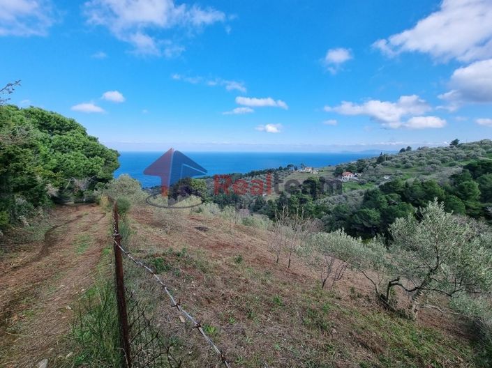 Image No.12-Property for sale