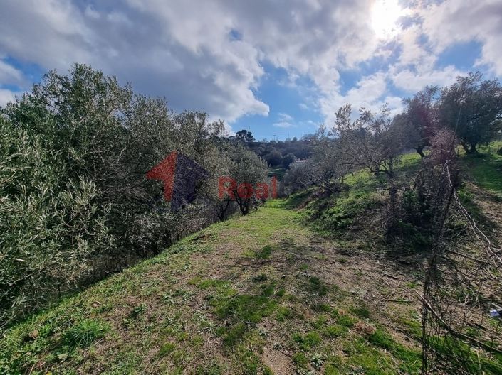 Image No.13-Property for sale