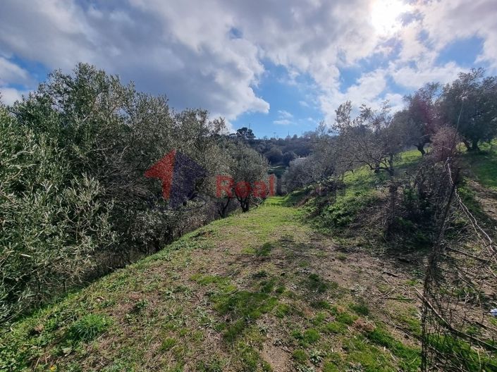 Image No.14-Property for sale