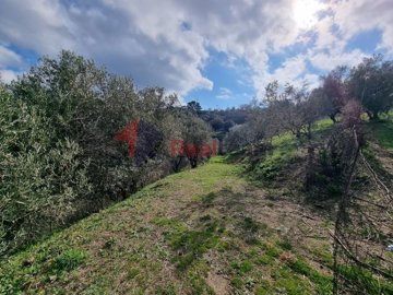 img7220a810-5873-4895-97cc-f65492e4d4b1