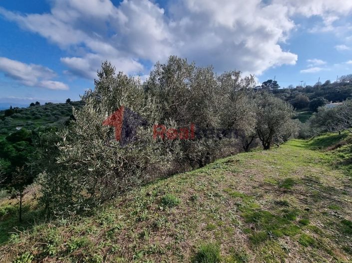 Image No.15-Property for sale