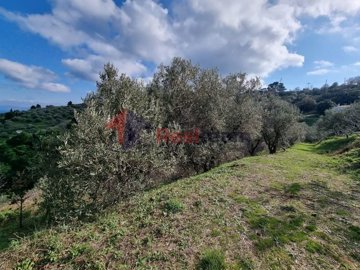 imga5ab9b33-47f8-4949-b6c6-3f6c09b117f3