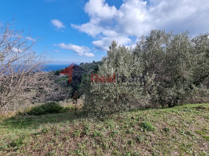 Image No.16-Property for sale