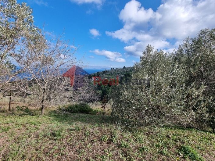 Image No.17-Property for sale