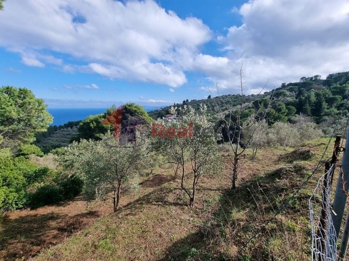 Image No.2-Property for sale