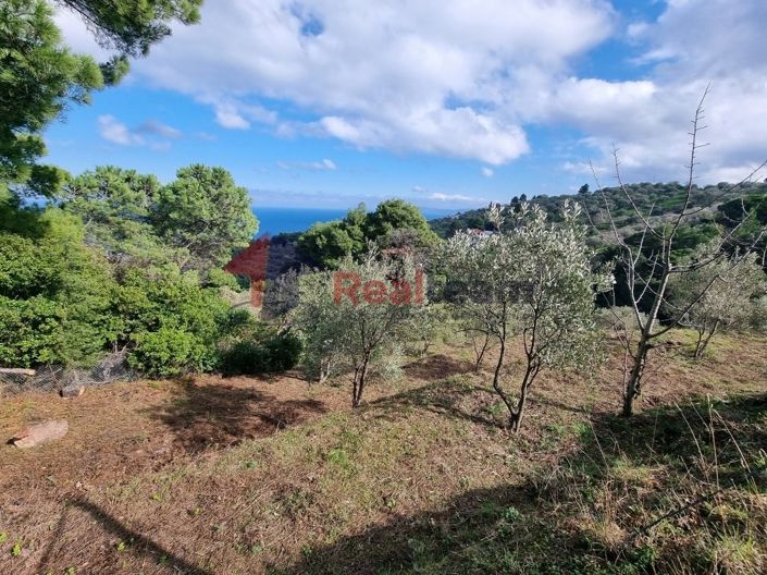 Image No.3-Property for sale