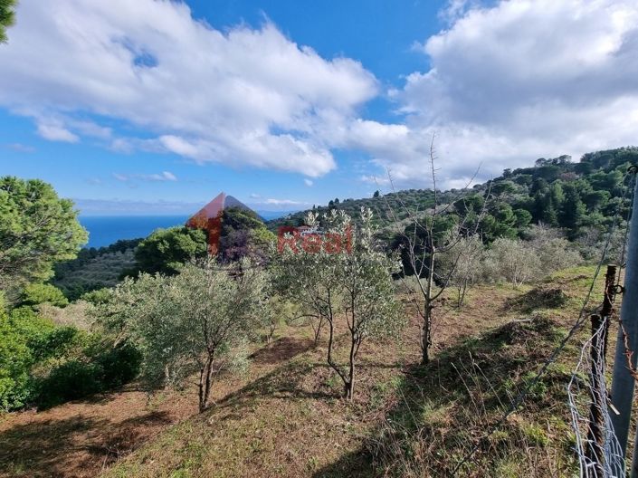 Image No.4-Property for sale