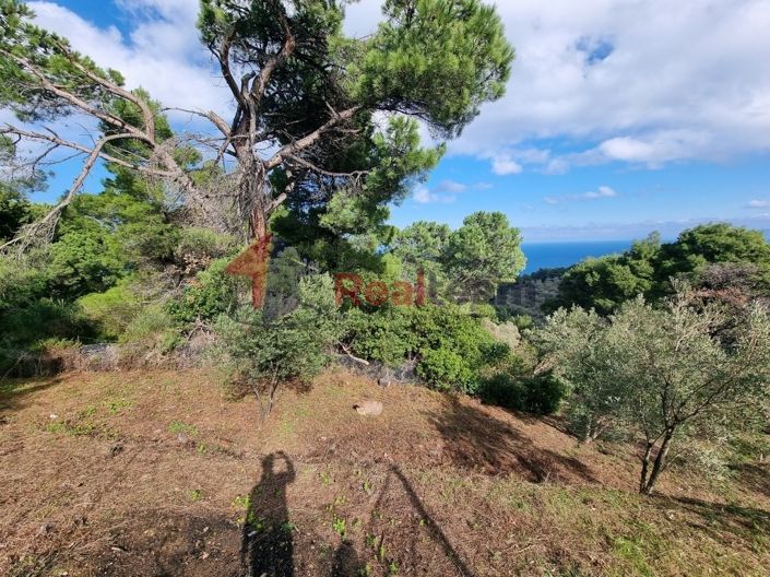 Image No.5-Property for sale