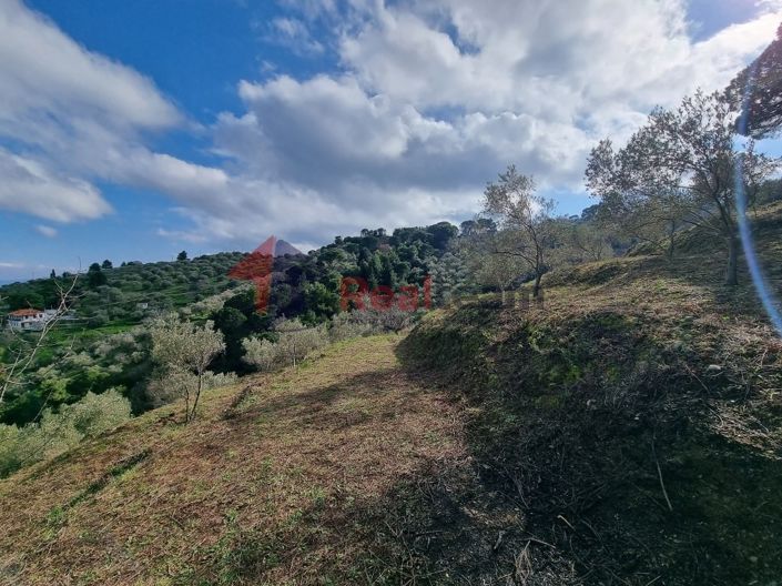 Image No.6-Property for sale