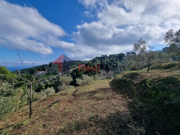 Image No.7-Property for sale