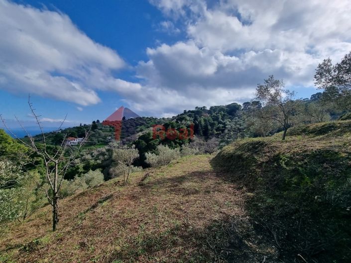 Image No.8-Property for sale