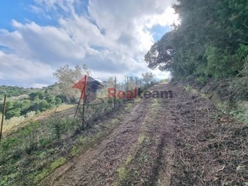 imga3feaf5b-27b6-4c37-8974-20df6214f29d