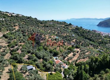 33ceeb06964f42d7a819795a95d4fd36