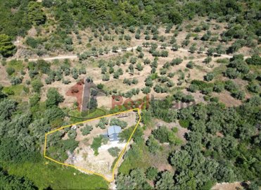 b79db8a61d5a4c4eb60cfcf6ee493e24