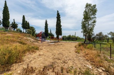 imgb7dfb91b-cbcd-4058-beb2-e2a393622bee