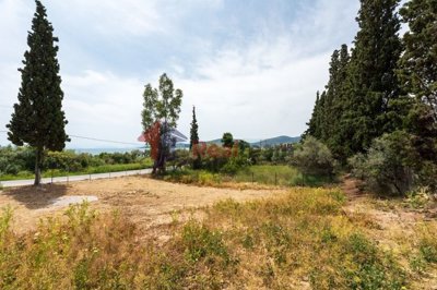 img48560ef3-cae0-4096-be8c-2ccb83622c9f