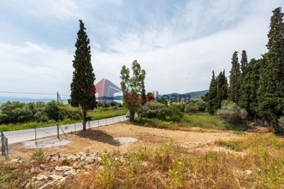 img0e1cc6a5-7d54-4fd6-b968-d83a709f64f2