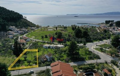 1 - Skopelos, Property
