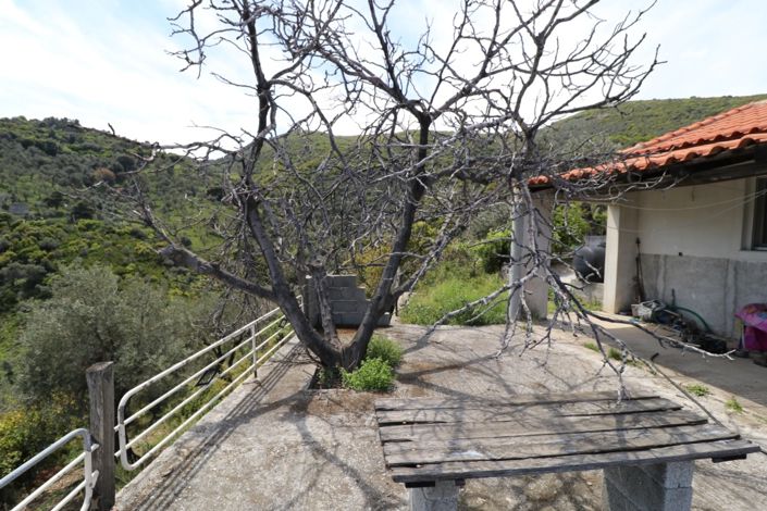 Image No.18-1 Bed Property for sale