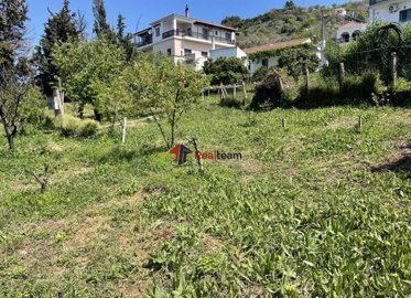 img78d144b1-14a4-4535-b67a-9939bc881176