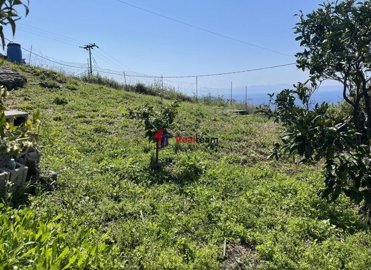 imge2665038-a280-48a8-87e6-caa95b1eb5c2