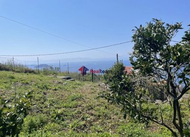 img6e425904-4915-42b9-acc0-e933f6997b1d