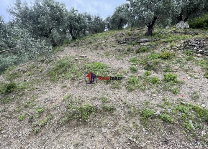 Image No.12-Property for sale