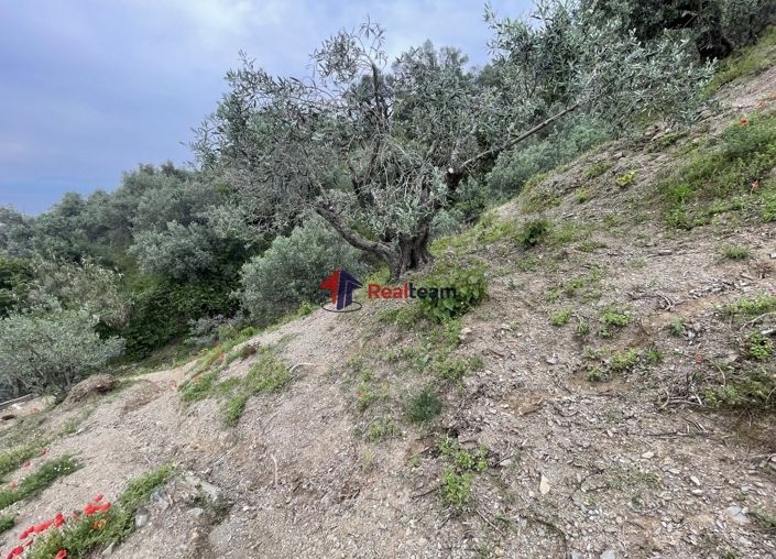 Image No.13-Property for sale