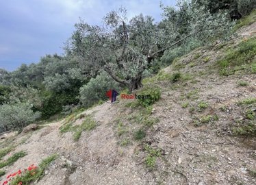 imgad959aa4-f4e5-42b6-860d-83afaf3ce970