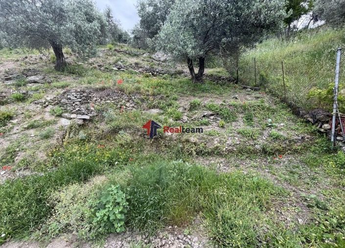 Image No.14-Property for sale