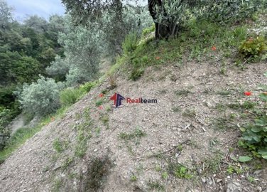 img4bd1f4dc-7666-4d94-8d35-2e0335140eee