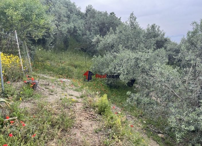 Image No.16-Property for sale