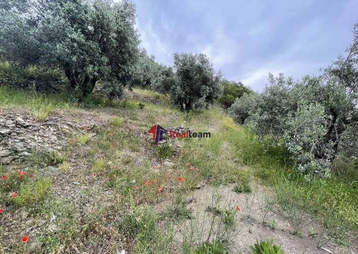 Image No.17-Property for sale