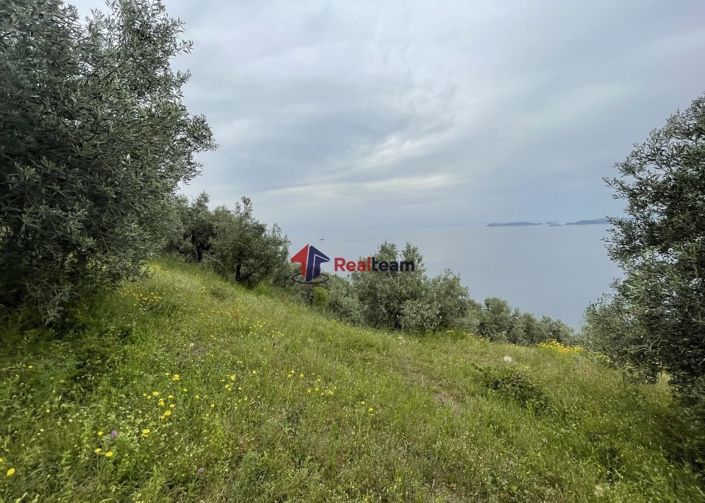 Image No.19-Property for sale